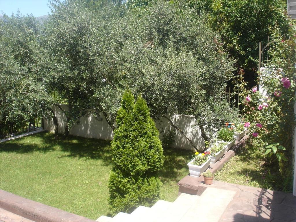 Apartments Popovic 2 Котор Экстерьер фото